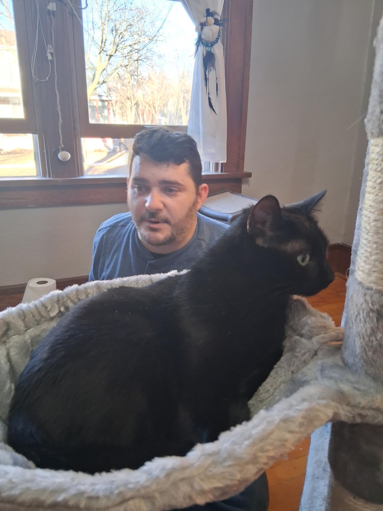 Heybly Cat Tree, 76-Inch Tall Heavy Duty Cat Tower for Big Cats with Extra Wide Baseboard, Multi-Level Large Cat Furniture with 2 Condos & 2 Hammocks, 10 Scratching Posts, Smoky Gray HCT039G customer photo 1