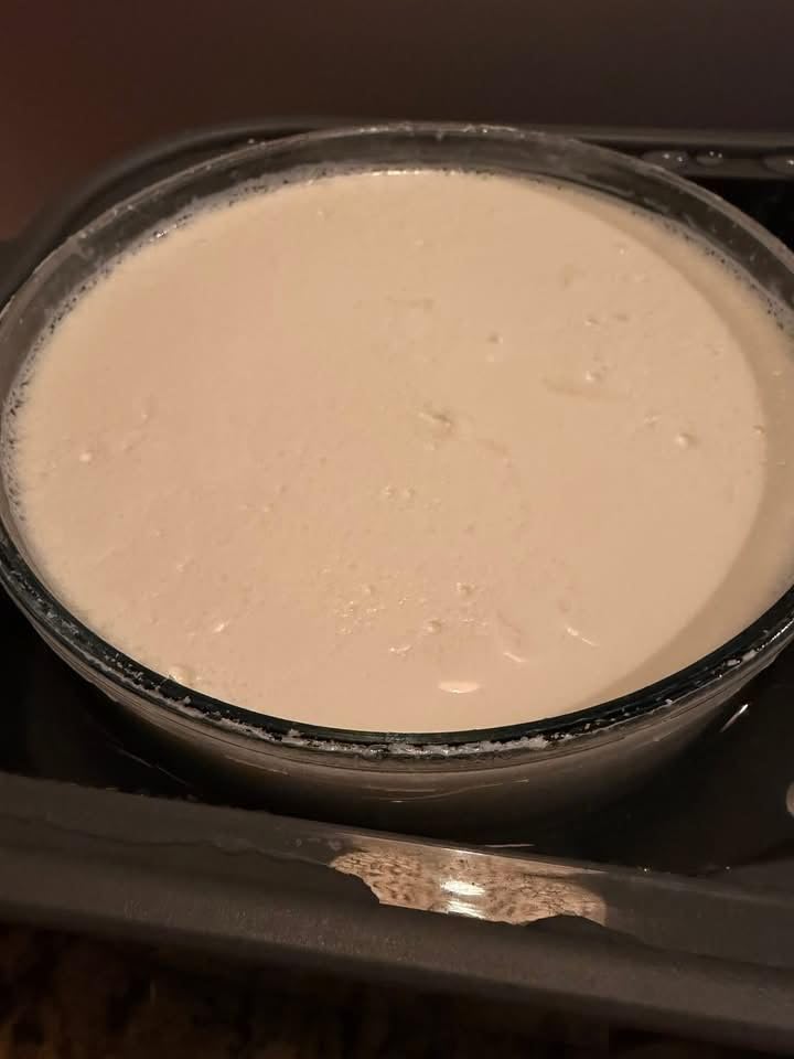 Ultimate Probiotic Yogurt Maker with Adjustable Time & Temperature Control - Two 1-Quart Containers for Larger Batches - ULTIMATE LIFETIME WARRANTY customer photo 2