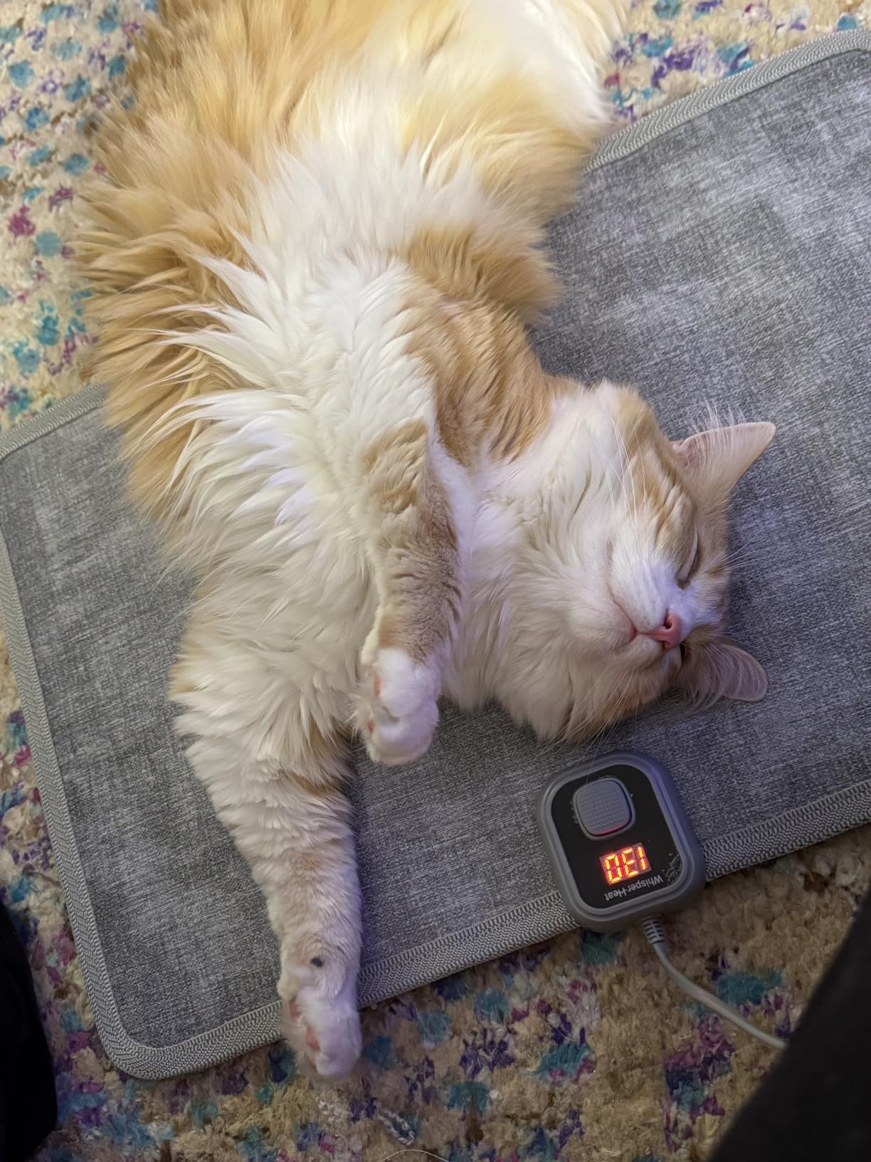 WhisperHeat™ Heated Floor Mat - Electric Tap-to-Activate Foot & Floor Warmer - Silent, Energy-Efficient Underfoot Heating Mat customer photo 2