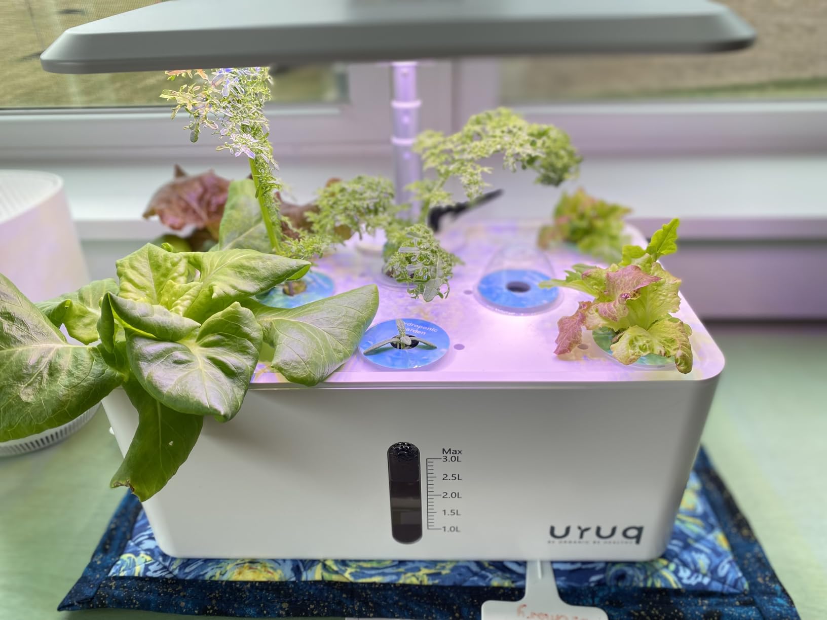 Hydroponics Growing System Garden: 8 Pods Indoor Herb Garden with Grow Light Plants Germination Kit Quiet Automatic Hydroponic Height Adjustable customer photo 1