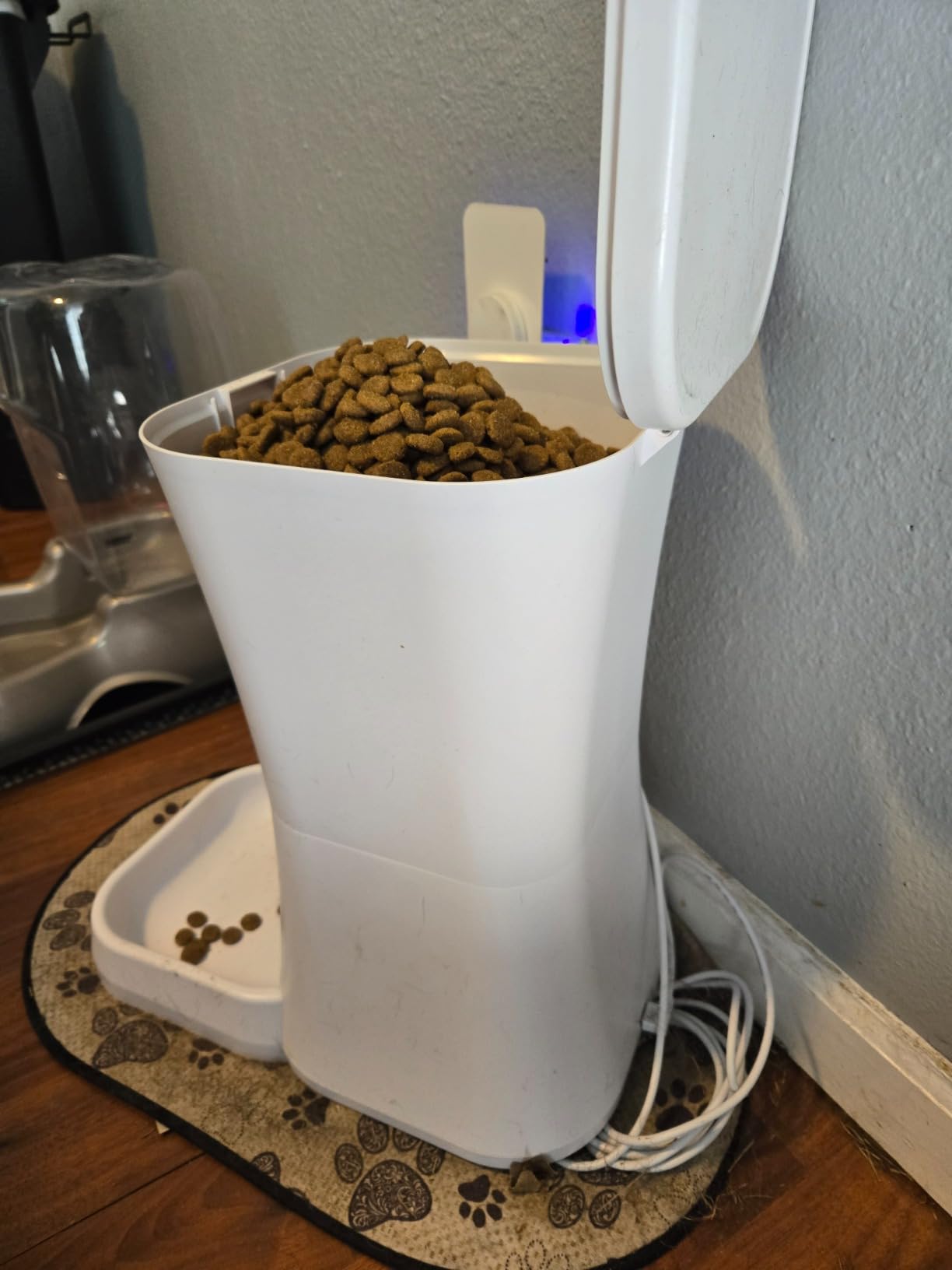 DOGNESS 9L Dog Feeders for Large Dogs, Automatic Dog Feeder with Timer Extra Large, Programmable Auto Pet Food Dispenser Feeder, Portion Control, Voice Recording, Battery and Plug-in Power (Black) customer photo 1