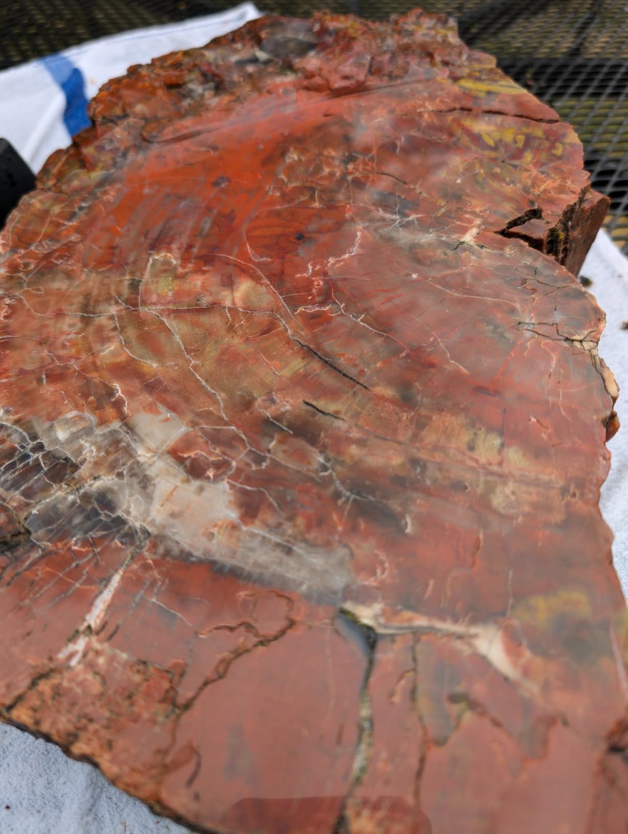 800W/110V Variable Speed 4'' Wet Polisher / Grinder & Granite Diamond Polishing Pads Concrete Polisher Stone Polisher for Granite/Marble/Concrete/Stones (PA0001000-2) customer photo 1