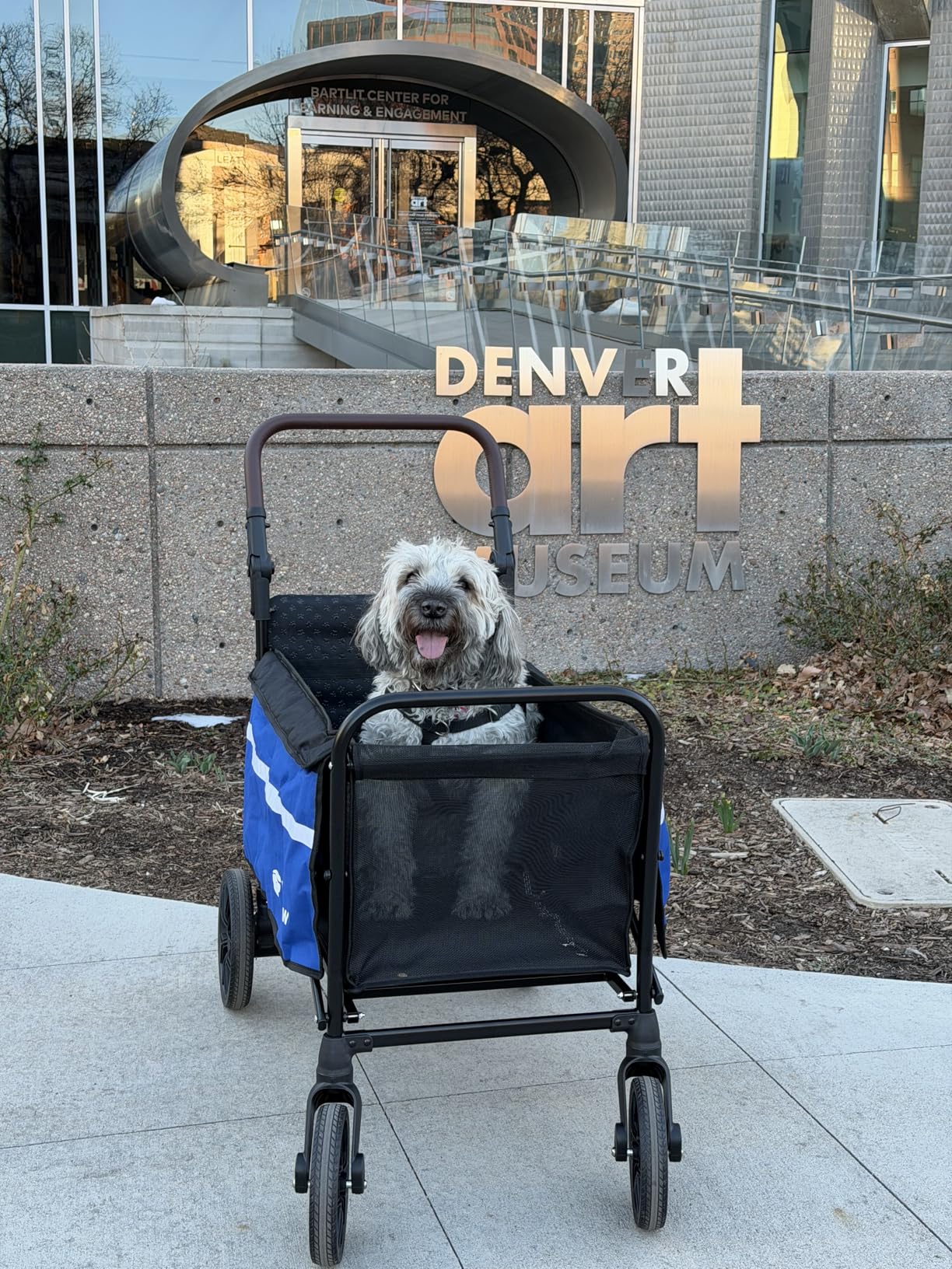 Dog Wagon for Medium Large Dogs up to 200lbs, All Terrain Foldable Large Pet Stroller with Ramp, Dog Wagon Cart with Adjustable Handle & One-Step Brake(Black) customer photo 1