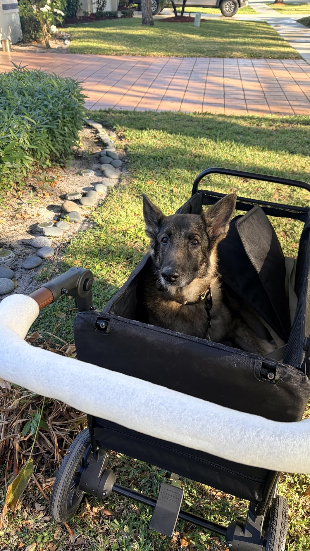 Dog Wagon for Medium Large Dogs up to 200lbs, All Terrain Foldable Large Pet Stroller with Ramp, Dog Wagon Cart with Adjustable Handle & One-Step Brake(Black) customer photo 2
