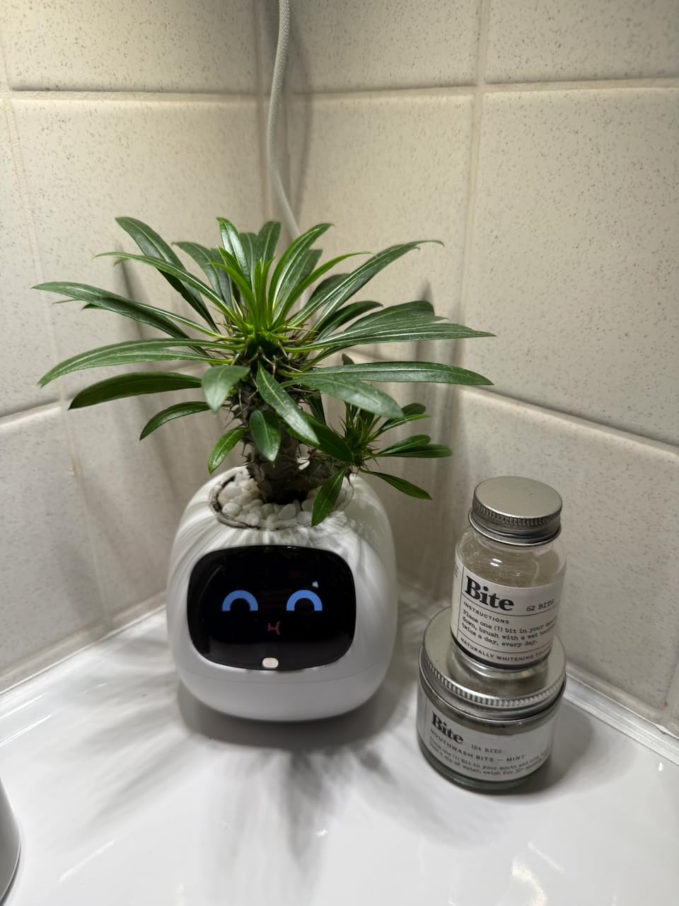 Smart Planter with App Control, Self-Watering AI Plant Pot with LCD Display, Interactive Desk Plant Companion customer photo 1