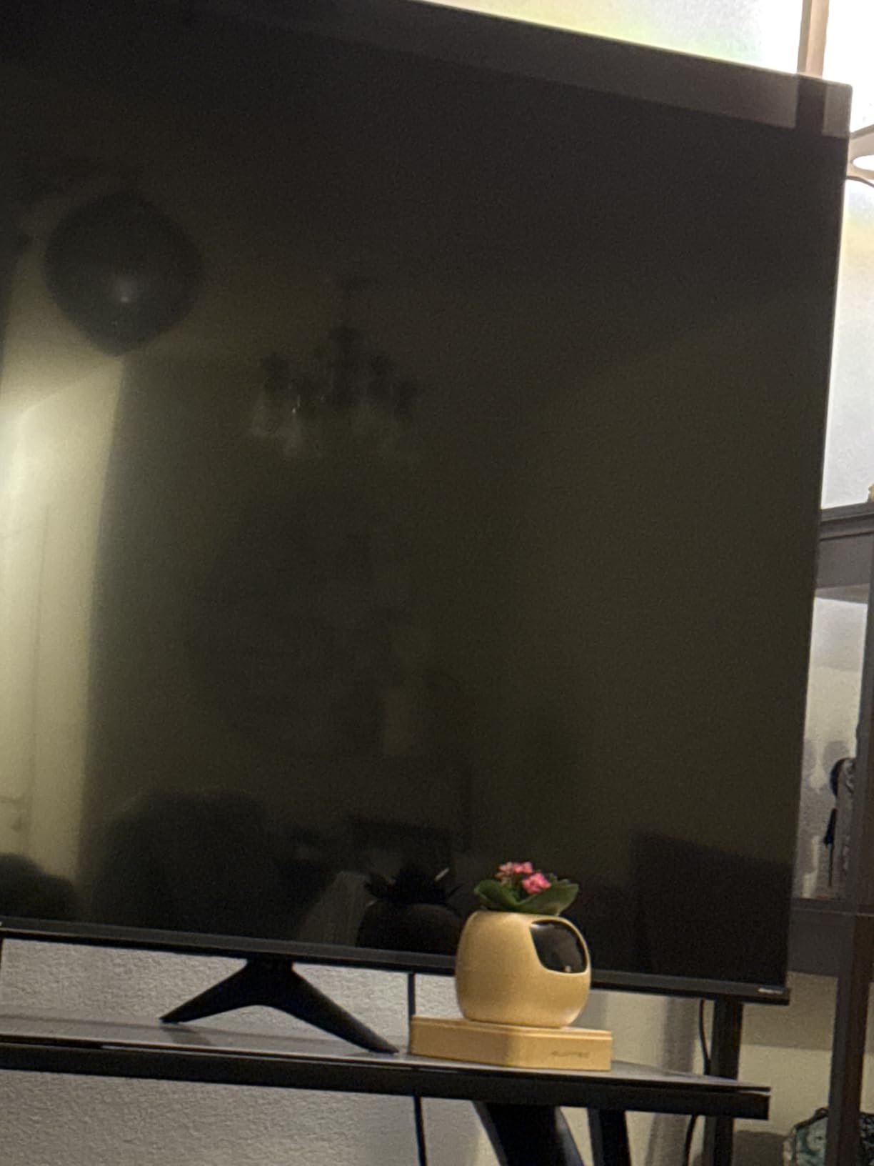 Smart Planter with App Control, Self-Watering AI Plant Pot with LCD Display, Interactive Desk Plant Companion customer photo 2