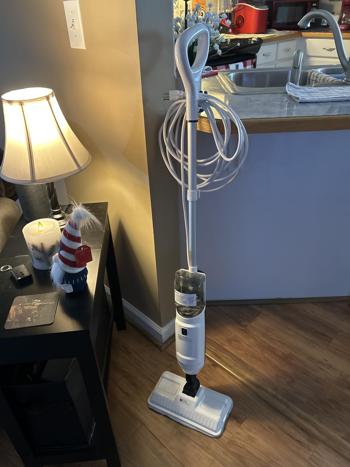 Steam Mop, Multi-Purpose Steam Cleaner for Home Steamer for Floor Cleaning, Floor Steamer Cleaner for Deep Cleaning with Handheld Steamer Mops Accessories, Pet Steam Mop Cleaner for Hardwood, Tile customer photo 1