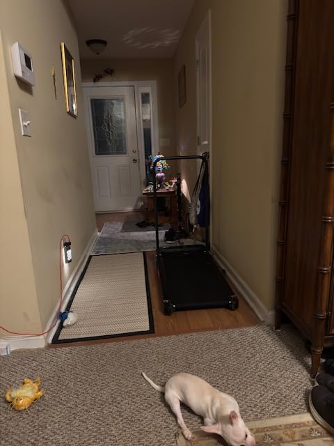 KASSADIN Walking Pad with Handle Bar, 2026 Upgrade Portable Small Treadmill with Handles for Home Small, 3.0HP Under Desk Walking Pad Treadmill with Incline, 0.6-7.6MPH, 350LBS customer photo 1