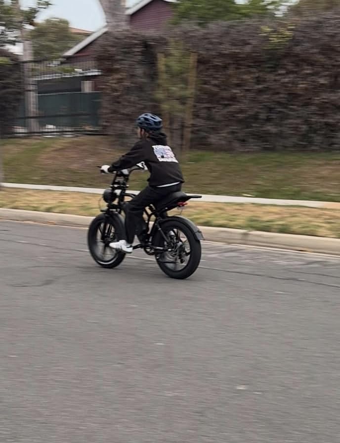 TST Electric Bike for Adults, 1500W Peak Motor 28 MPH 60/100 Miles Fat Tire Ebike with 48V 15Ah/25Ah Removable Battery 20