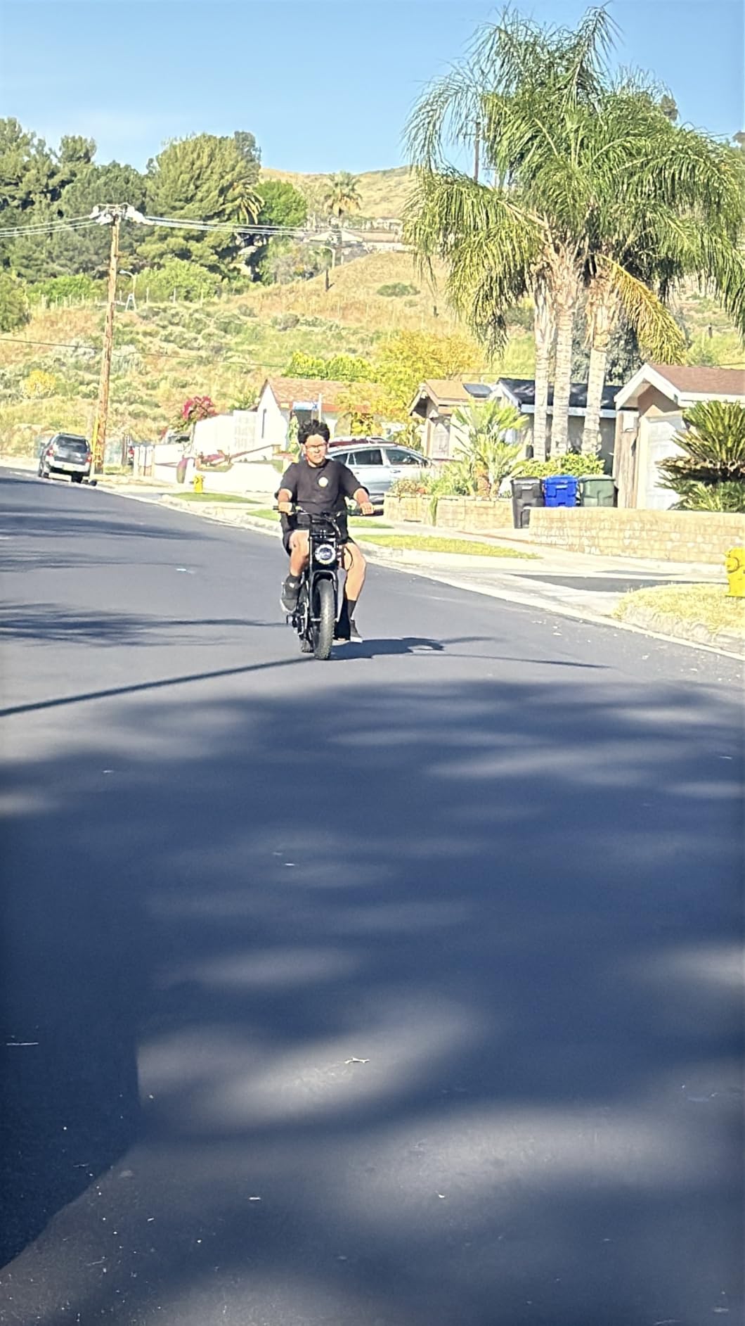 TST Electric Bike for Adults, 1500W Peak Motor 28 MPH 60/100 Miles Fat Tire Ebike with 48V 15Ah/25Ah Removable Battery 20