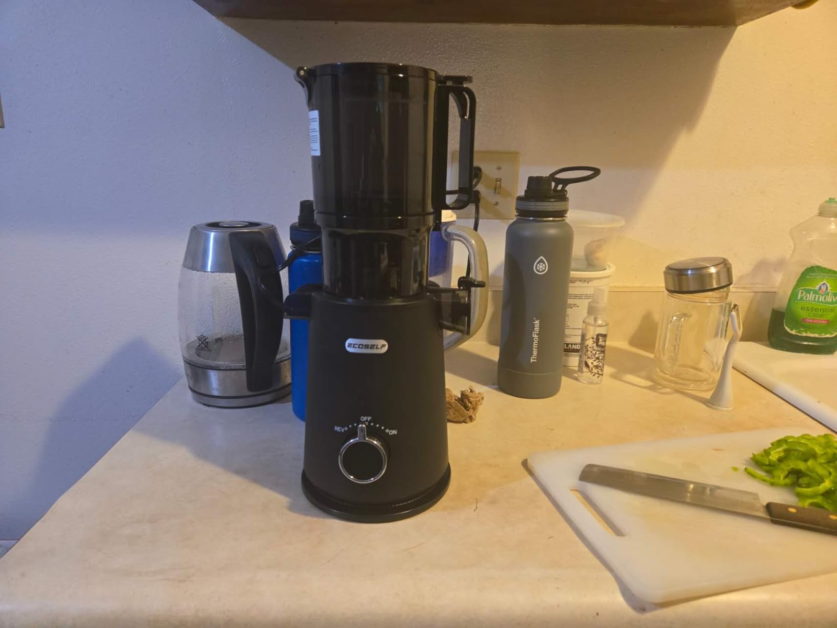 ECOSELF Cold Press Juicer - Large Mouth Hopper For Whole Fruits & Vegetables - Juicer Machines with Hands-Free Design - Slow Masticating Juicers High Juice Yield With Pusher - For Party Gathering customer photo 2