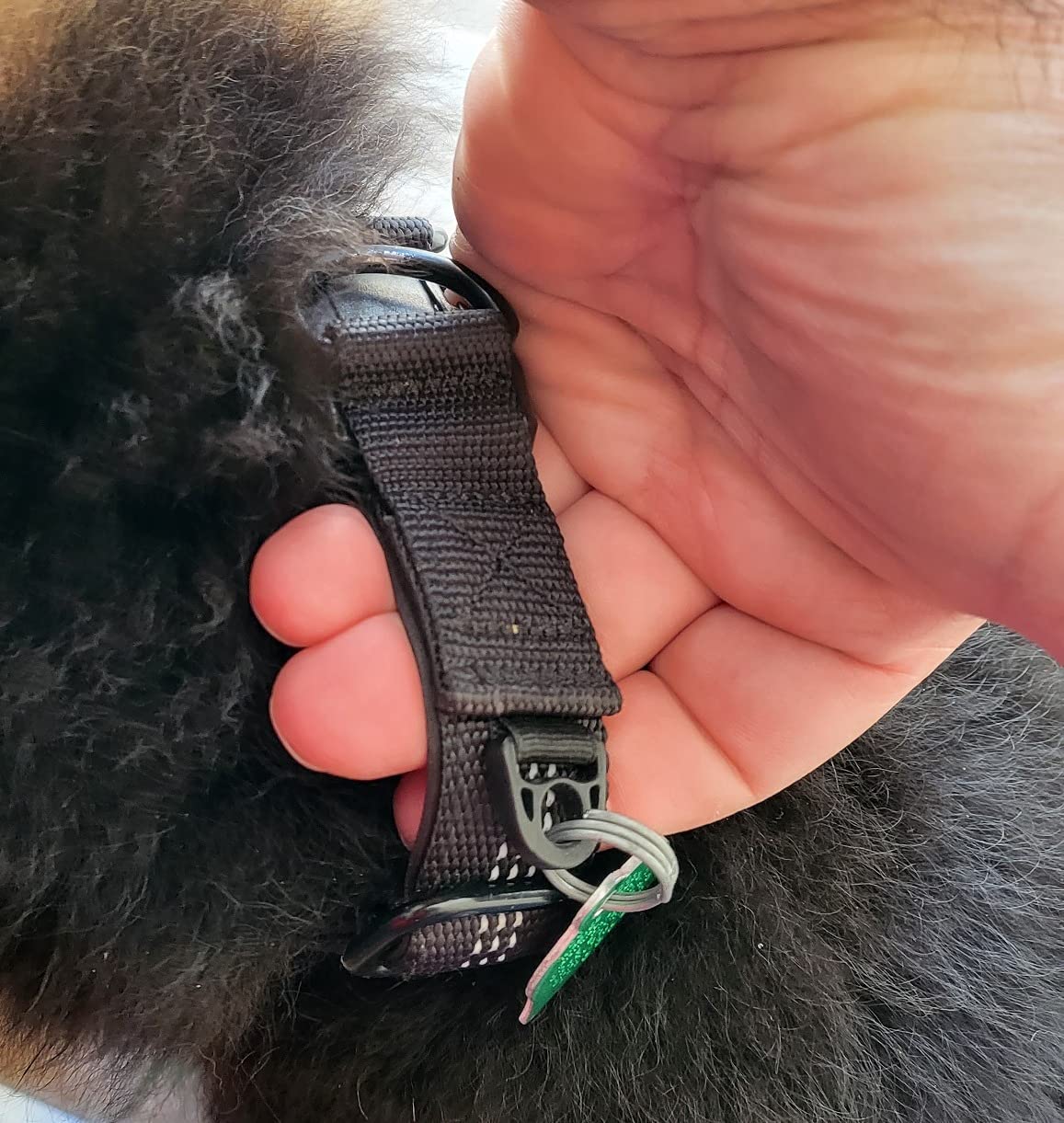 E-FENCE GPS Wireless Dog Collar Fence System, Electric Dog Collar Fence,Pet Containment System Rechargeable, Outdoor Use Only(2 Pack) customer photo 1