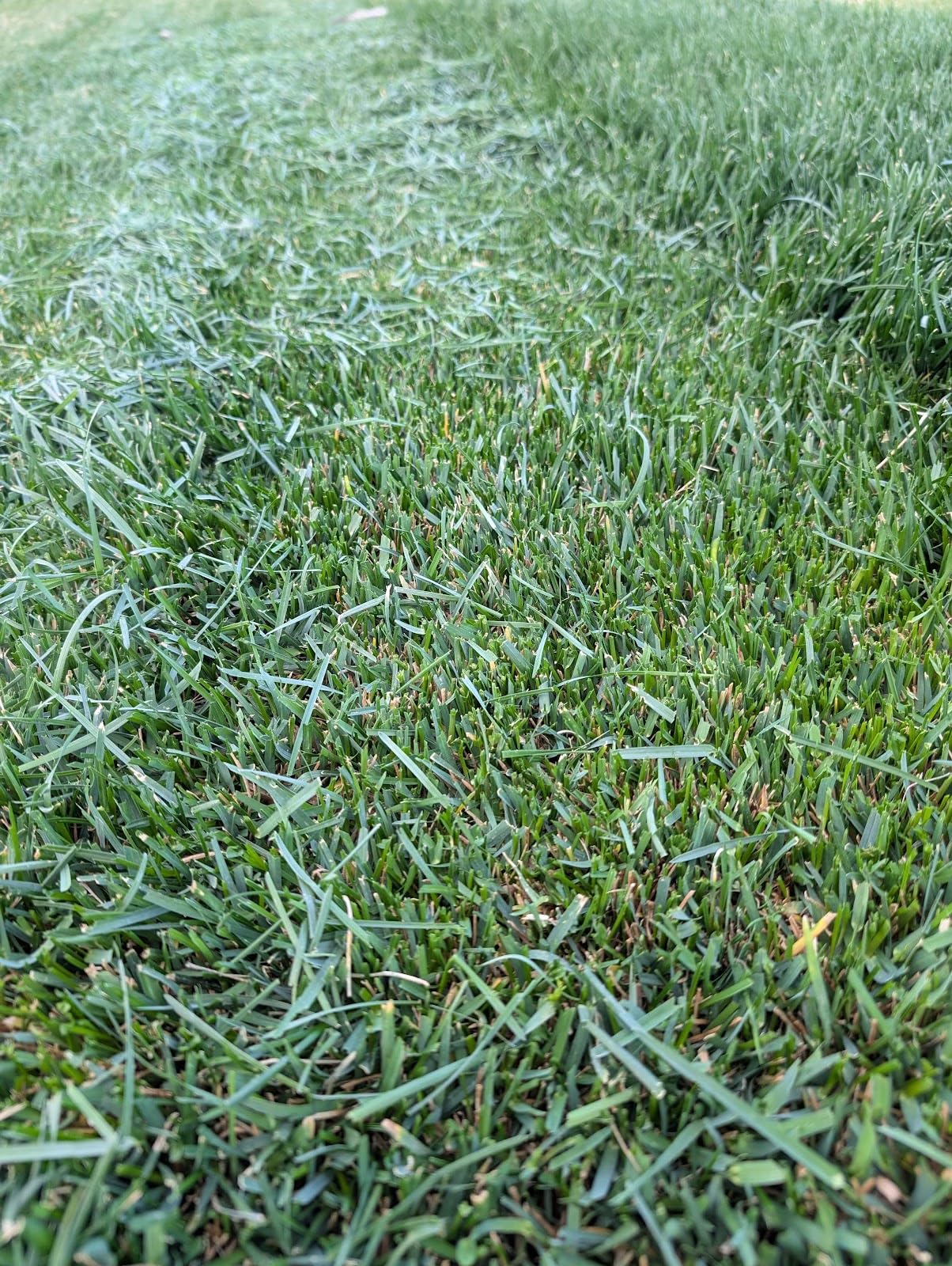 ECOVACS Goat A3000 LiDAR PRO Robotic Lawn Mower for Up to 3/4 Acre, 7500 mAh Battery with 189W Fast Charging, Wire-Free Dual-LiDAR Navigation, Built-in TruEdge Edge Trimmer, Smart App Control customer photo 1