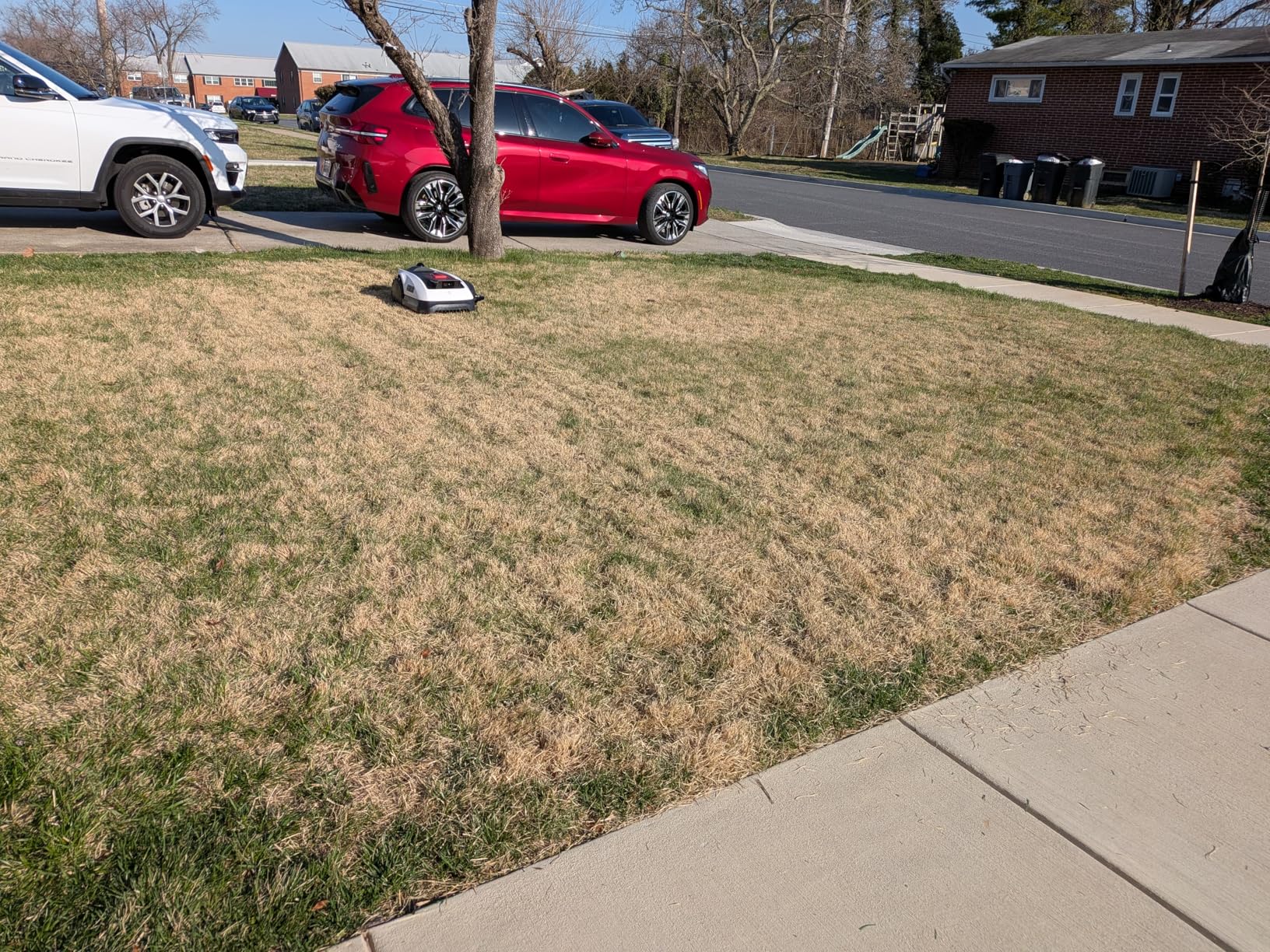 ECOVACS Goat O1000 LiDAR PRO Robotic Lawn Mower with TruEdge Trimmer for 1/4 Acre, Wire-Free LiDAR Navigation, Zero-Edge Cutting, Auto Mapping, AIVI 3D Obstacle Avoidance, 45% Slope customer photo 1