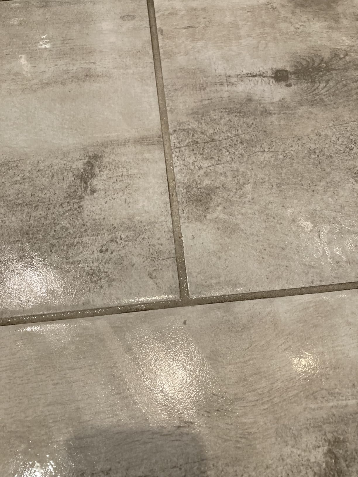 Steam Mop, 12-in-1 Powerful Handheld Steam Cleaner Detachable Steam Mops for Floor Cleaning, 565ML Removable Tank, 23FT Power Cable, MultiPurpose Steamer for Hardwood, Tile, Grout, Furniture customer photo 2