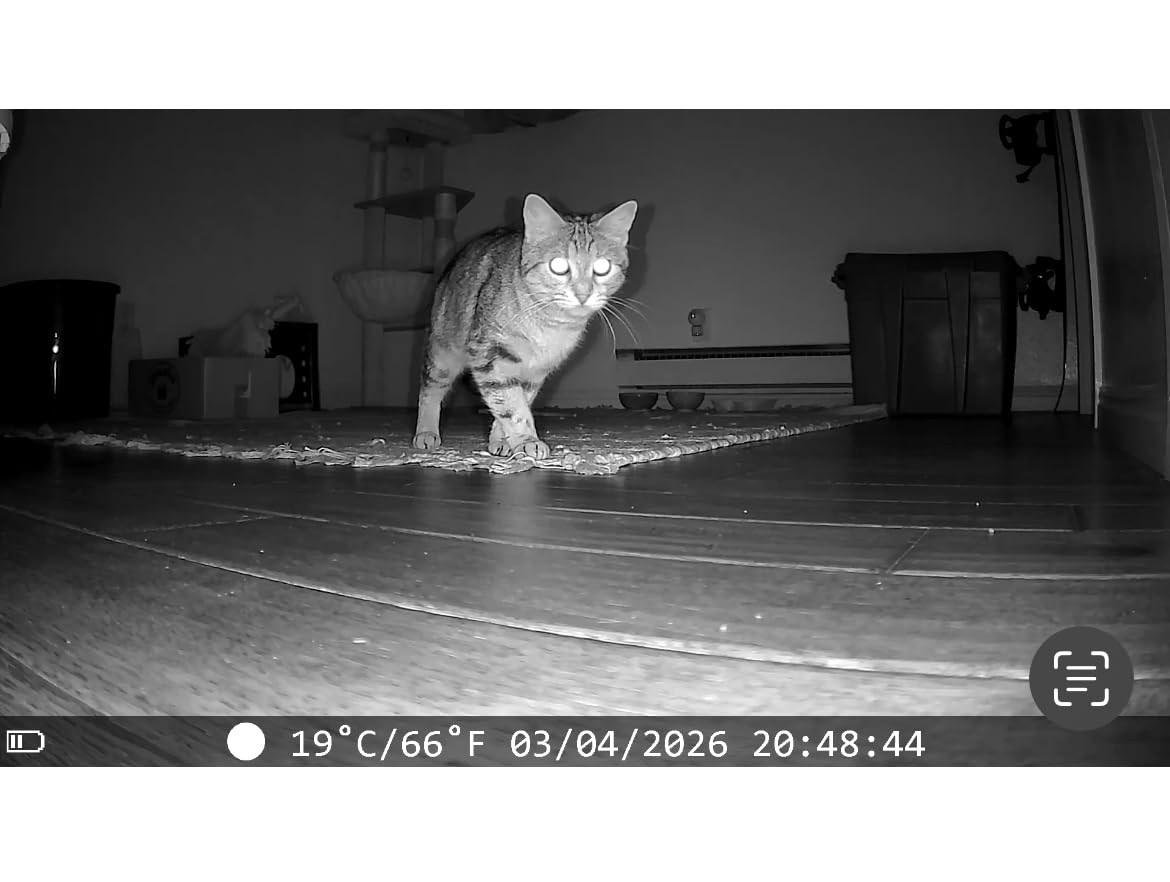 Trail Camera 4K 64MP WiFi Solar Game Camera, 5000mAh Forever Power, 64GB Memory Card and Ip67 Waterproof Night Vision Trail Cam for Outdoor Wildlife Detection customer photo 1