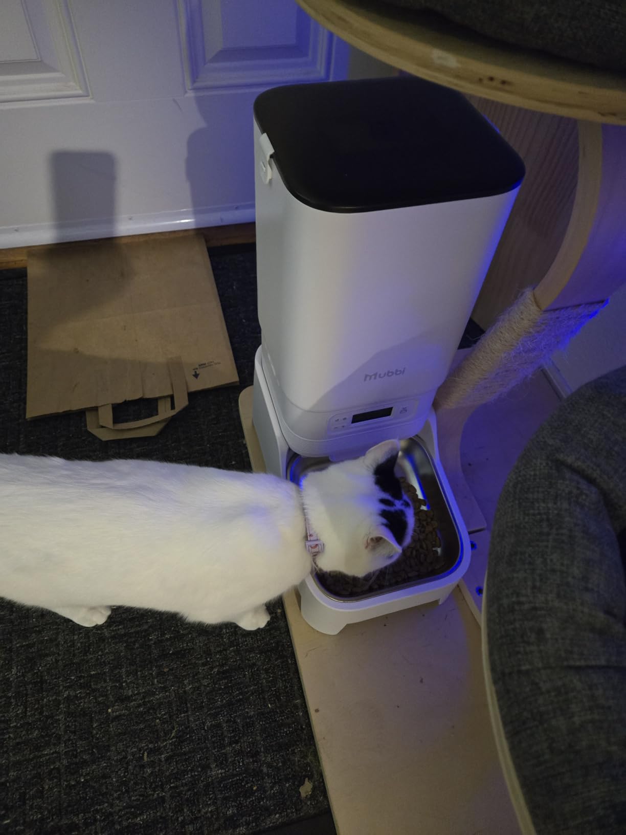 Automatic Dog Feeder with Elevated Stand - 7L Cat Food Dispenser with Large Food Tray, Timed Auto Cat Feeder for Dry Food, 6 Meals Per Day, No-Jam, Freshness Design, Detachable for Easy Clean customer photo 1