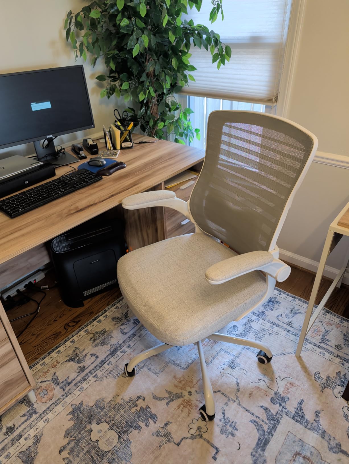 Office Desk Chair for Long Hours & Lower Back Pain Relief - 4