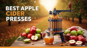 Best Apple Cider Presses