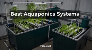 Best Aquaponics Systems