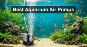 Best Aquarium Air Pumps