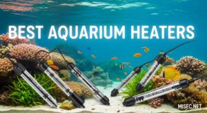 Best Aquarium Heaters