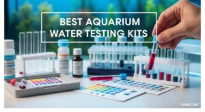 Best Aquarium Water Testing Kits
