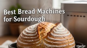 Best Bread Machines for Sourdough