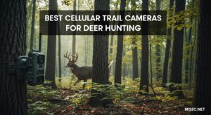 Best Cellular Trail Cameras for Deer Hunting