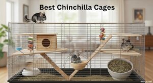 Best Chinchilla Cages