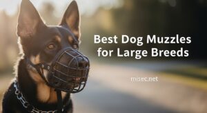 Best Dog Mzzles for Large Breeds
