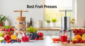 Best Fruit Presses