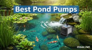 Best Pond Pumps