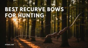Best Recurve Bows for Hunting