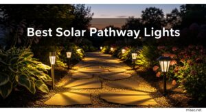 Best Solar Pathway Lights