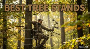 Best Tree Stands