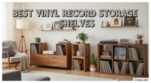 Best Vinyl Record Storage Shelves