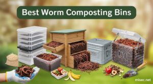Best Worm Composting Bins