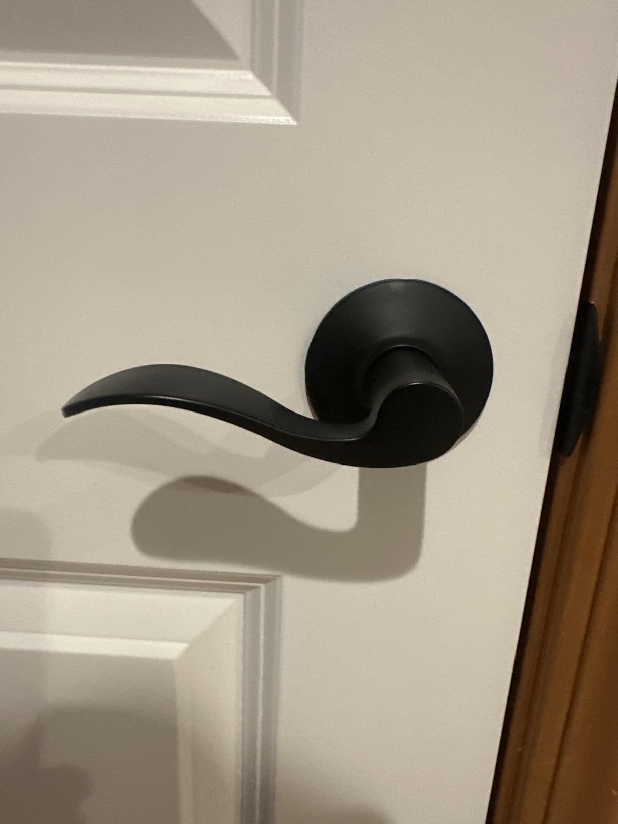 Schlage F40 ACC 619 Accent Door Lever, Bed & Bath Privacy Lock, Satin Nickel customer photo 1