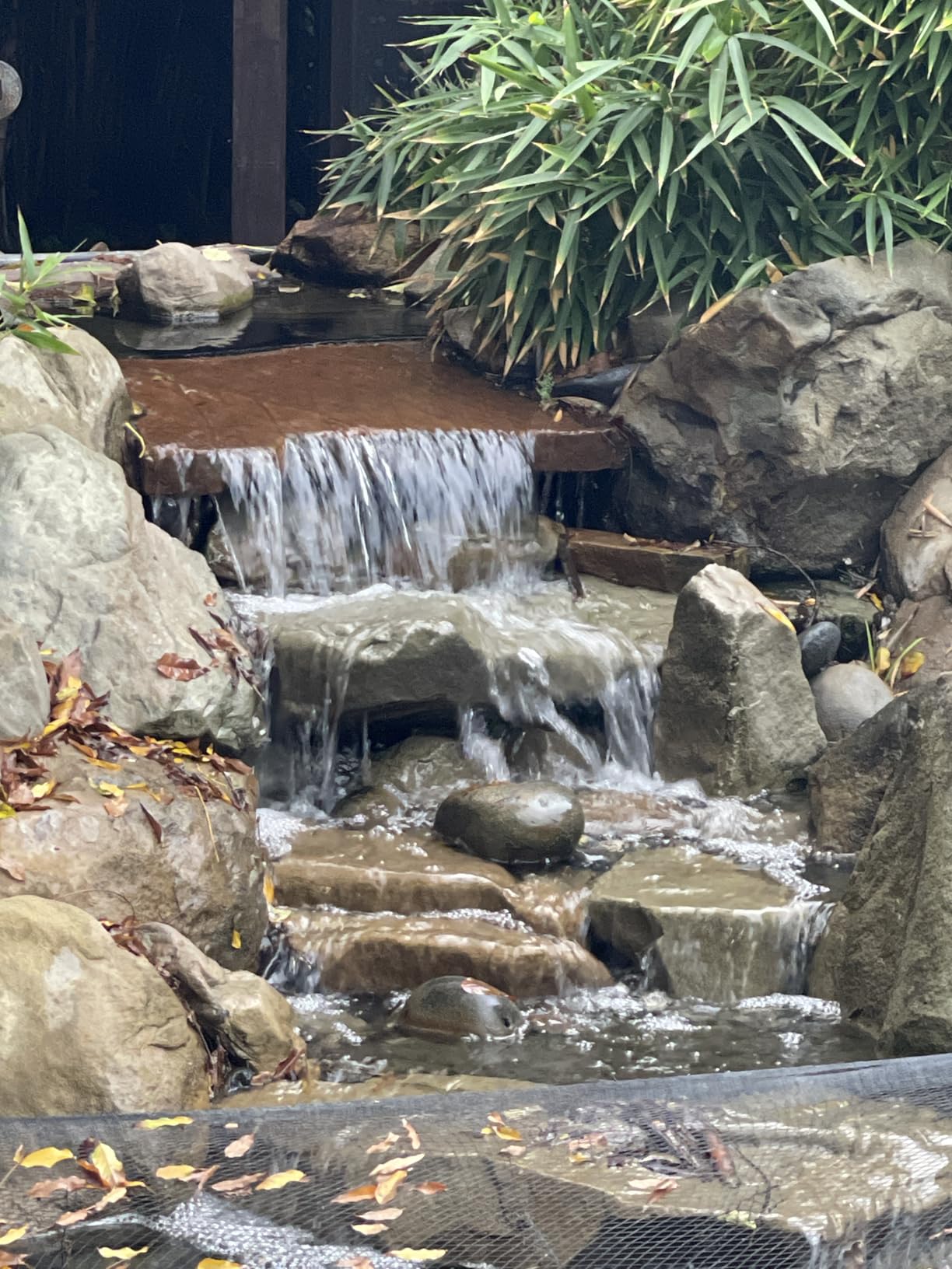 EasyPro TH150 Stainless Steel Waterfall and Stream Pump - Energy Efficient, Long Lasting Pump with 2 Year Warranty - 3100 GPH - 115 Volts - 20' Power Cord customer photo 1