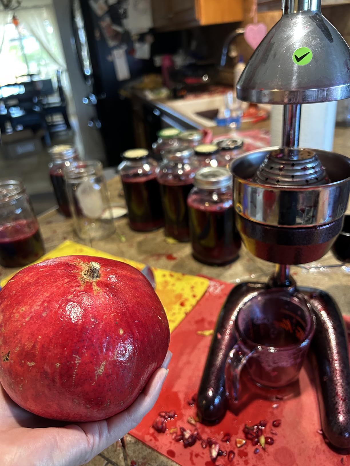 Commercial Grade Can-Can Pomegranate and Citrus Juicer customer photo 1