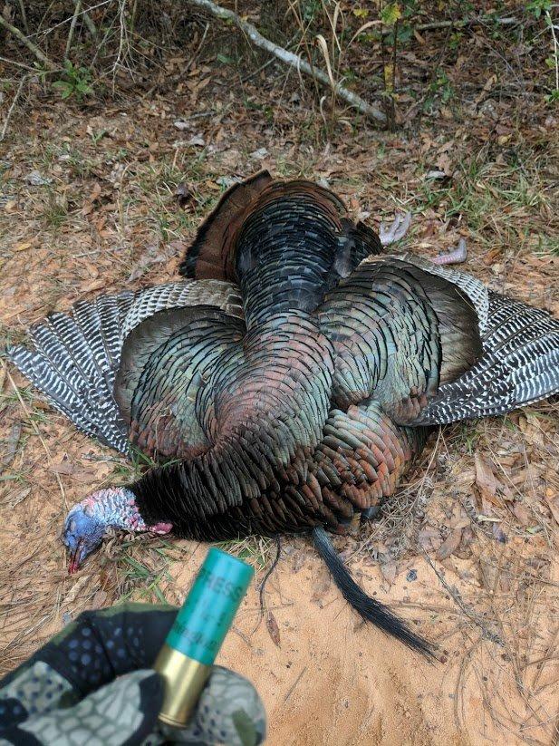 Primos Hunting 209 Bombshell Turkey Box Call customer photo 1