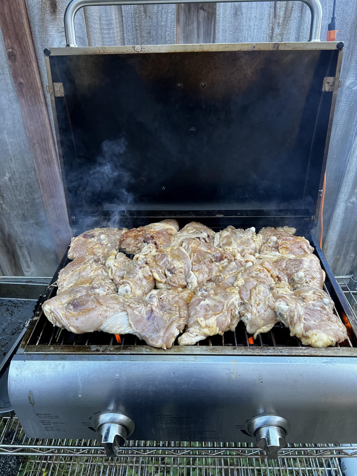 Cuisinart Chef's Style Tabletop Portable Propane Grill, 20,000 BTU Stainless Steel 2-Burner Outdoor Gas Grill for Camping, Tailgates, BBQ, Hassle-Free Setup, Twist-Start Ignition, CGG-306 customer photo 1