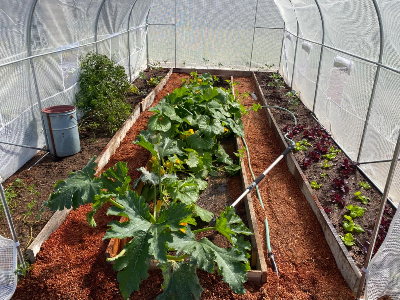 Outsunny 11.5' x 10' x 6.5' Outdoor Walk-in Greenhouse, Tunnel Green House with Roll-up Windows, Zippered Door, PE Cover, Heavy Duty Steel Frame, Green customer photo 1