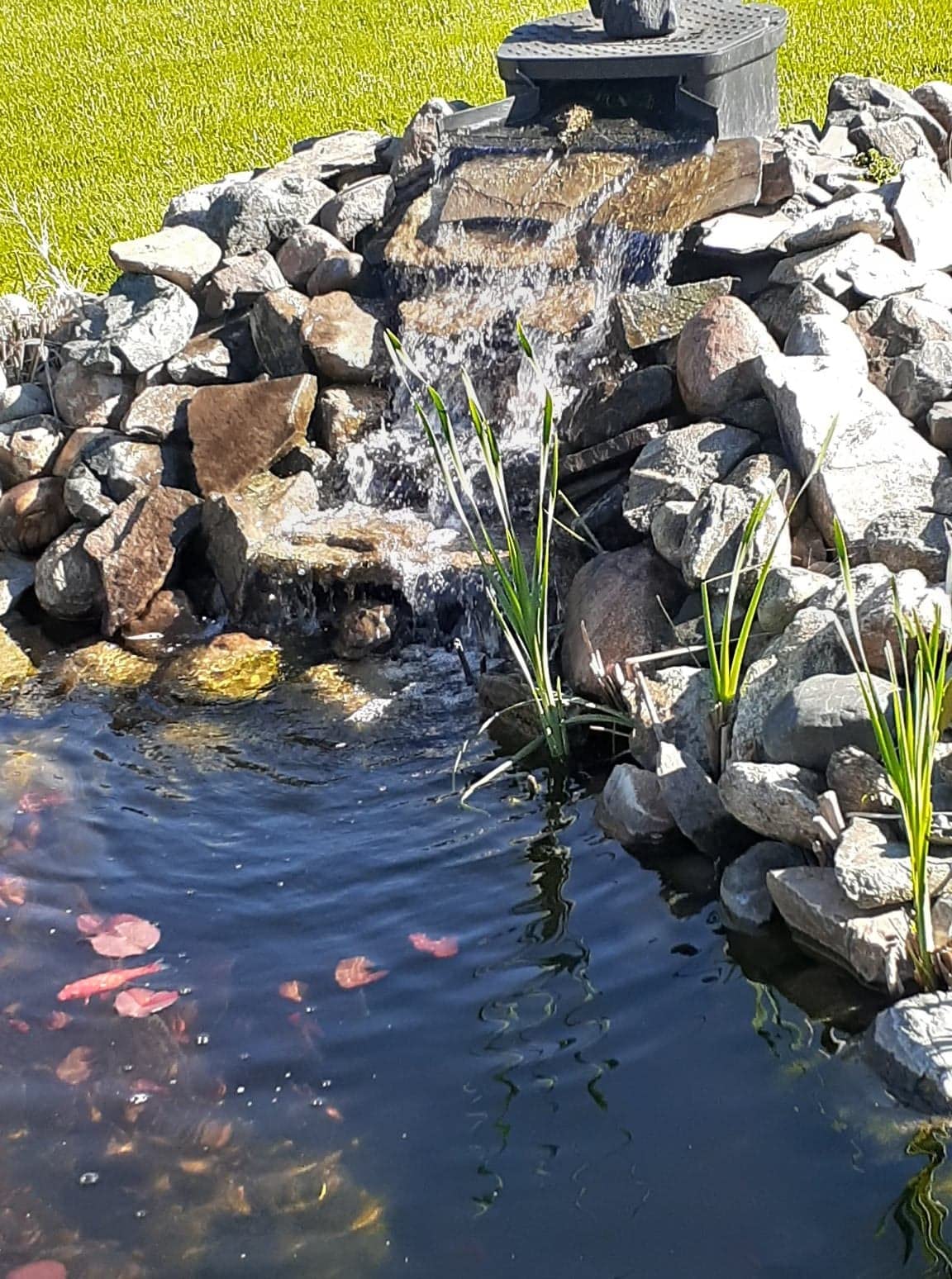 HALF OFF PONDS Pond Pulse 3,000 GPH Submersible Waterfall Pump - Hybrid Drive Pond Pump with 30' Cord - Energy Efficient, Fish Safe, 20' Max Head, for Skimmers & Large Water Features customer photo 1