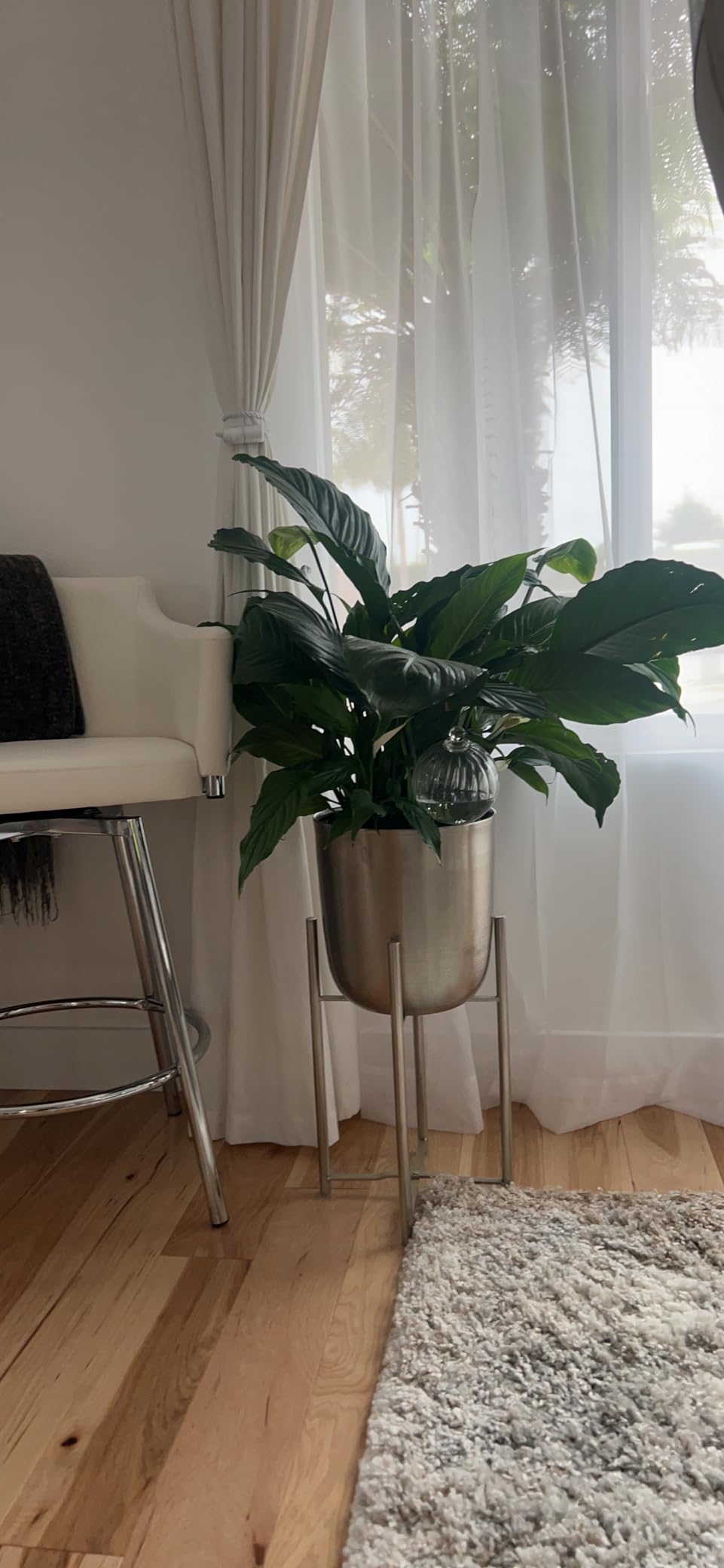 Blumat Glass Plant Self Watering Globes, Automatic Houseplant Drip Irrigation for Indoor Plants, Hanging Plants, Houseplants, Vacation Plant Savers, Large Globe Small Adapter customer photo 1