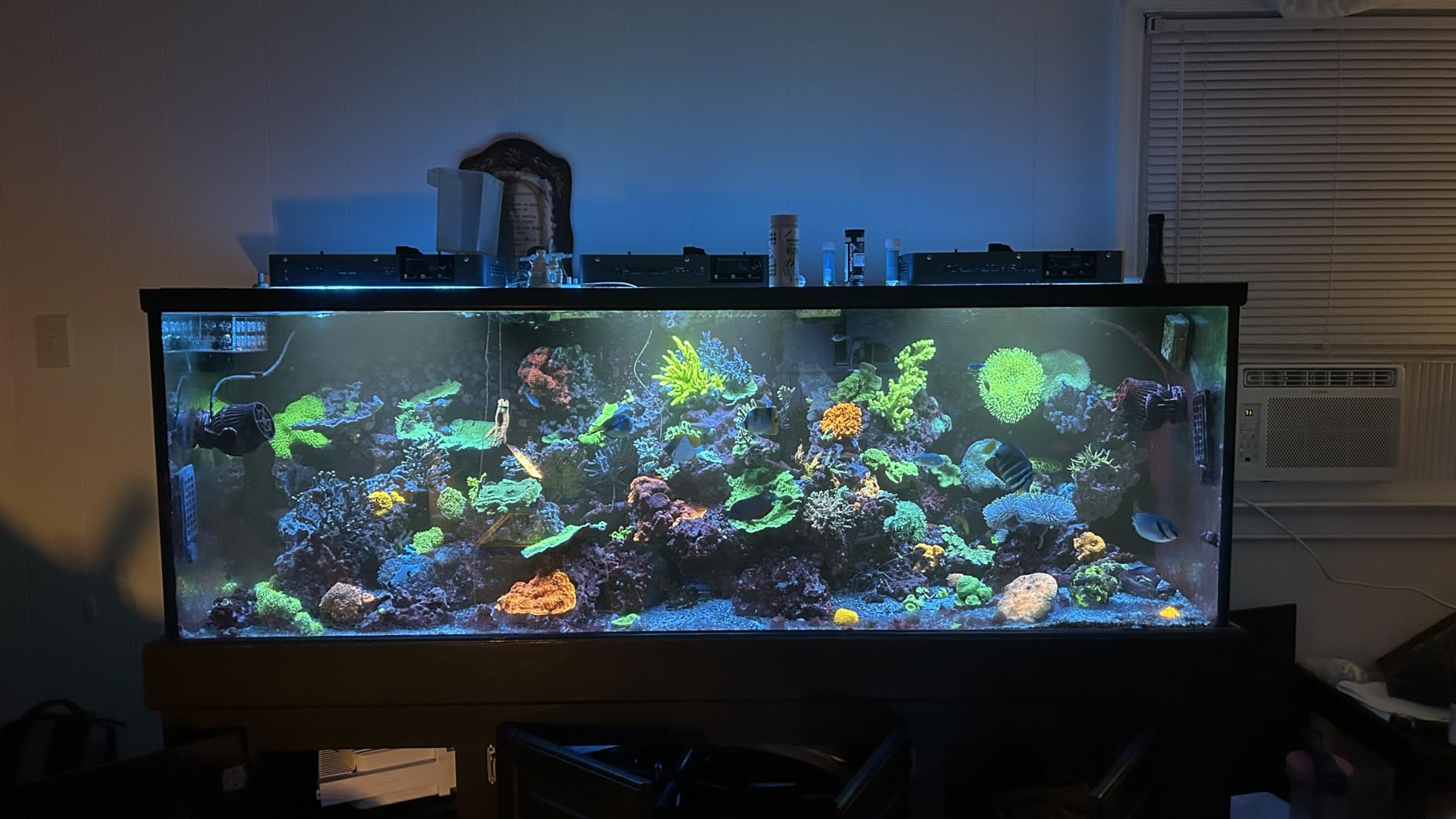 Flexzion Pond UV Lights for Outdoor Ponds - 9W Small Light, 2113-Gal Capacity, 1500L/H UV Pond Clarifier for Outdoor Ponds, Clears Water in Days (CUV-109A) customer photo 1