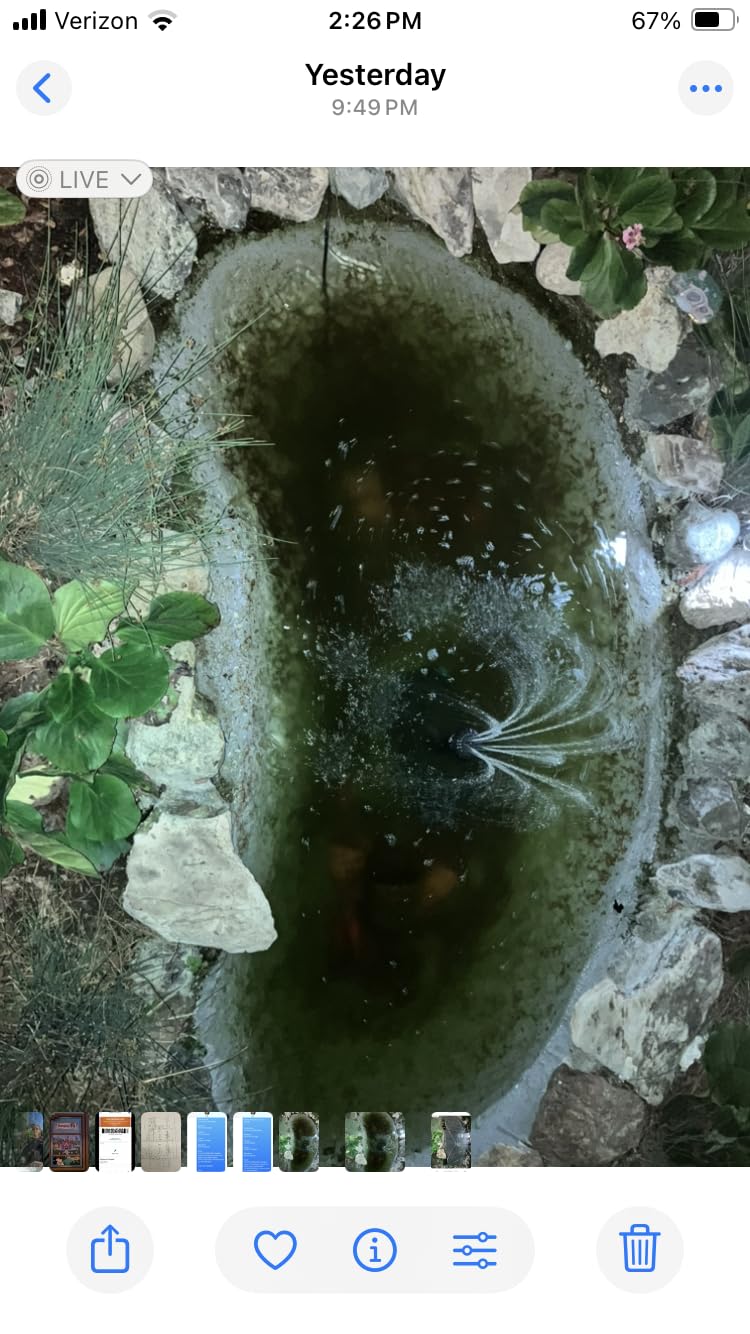 Flexzion Pond UV Lights for Outdoor Ponds - 9W Small Light, 2113-Gal Capacity, 1500L/H UV Pond Clarifier for Outdoor Ponds, Clears Water in Days (CUV-109A) customer photo 2