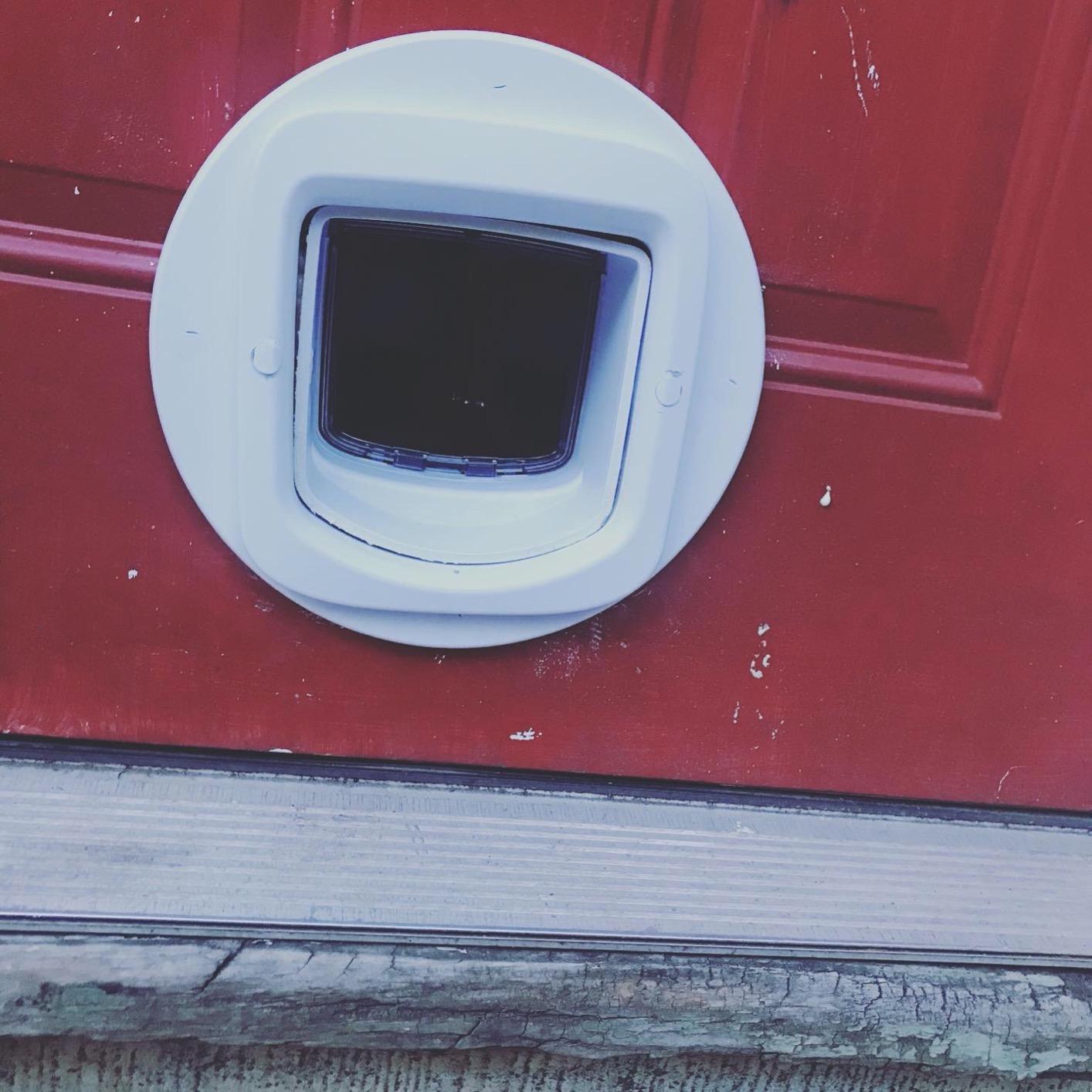 PetSafe Microchip Cat Door, Exterior or Interior Pet Door - Multi-User RFID Access Up to 40 Pets, 4-Way Locking, Weatherproof customer photo 2