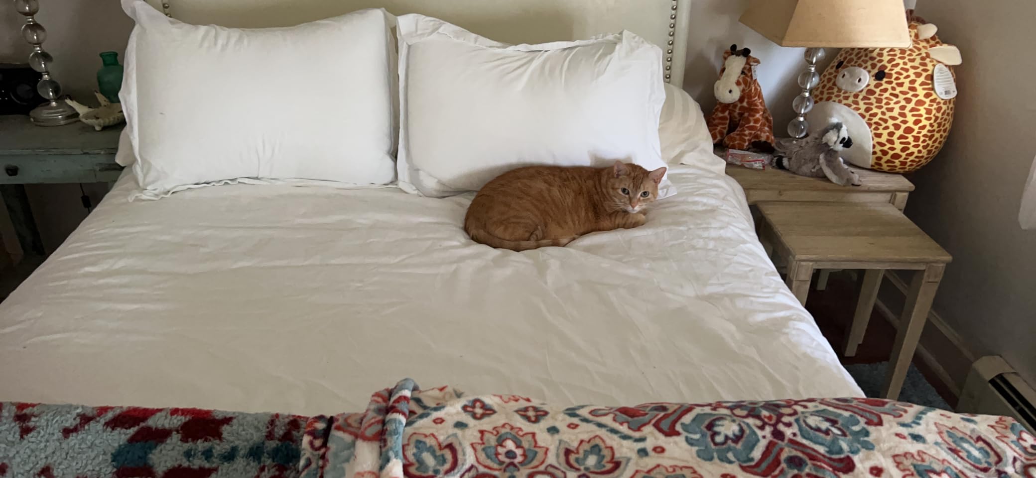 Pizuna Pure 100% Cotton King Duvet Cover with Shams, Luxurious 400 Thread Count Long Staple Cotton Sateen Weave with Hidden Button Closure (Combed White Cotton Duvet Covers King) customer photo 2
